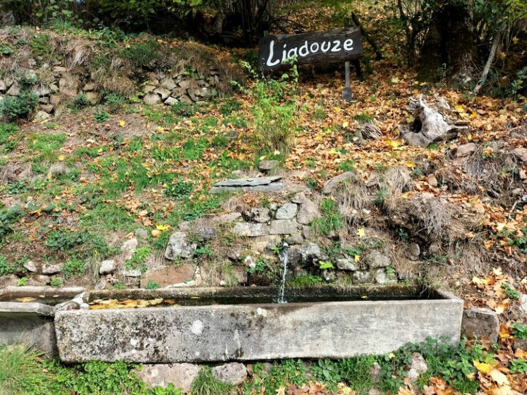 Img20221025144117 res