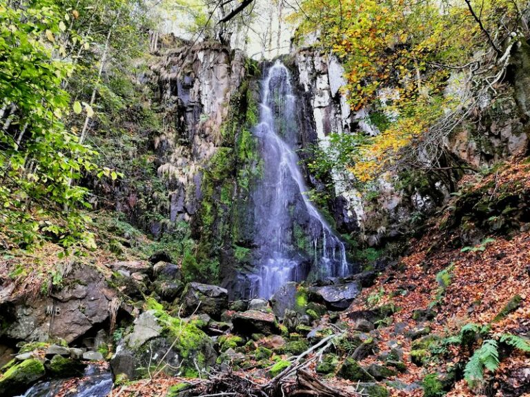 Img20221102144955 res